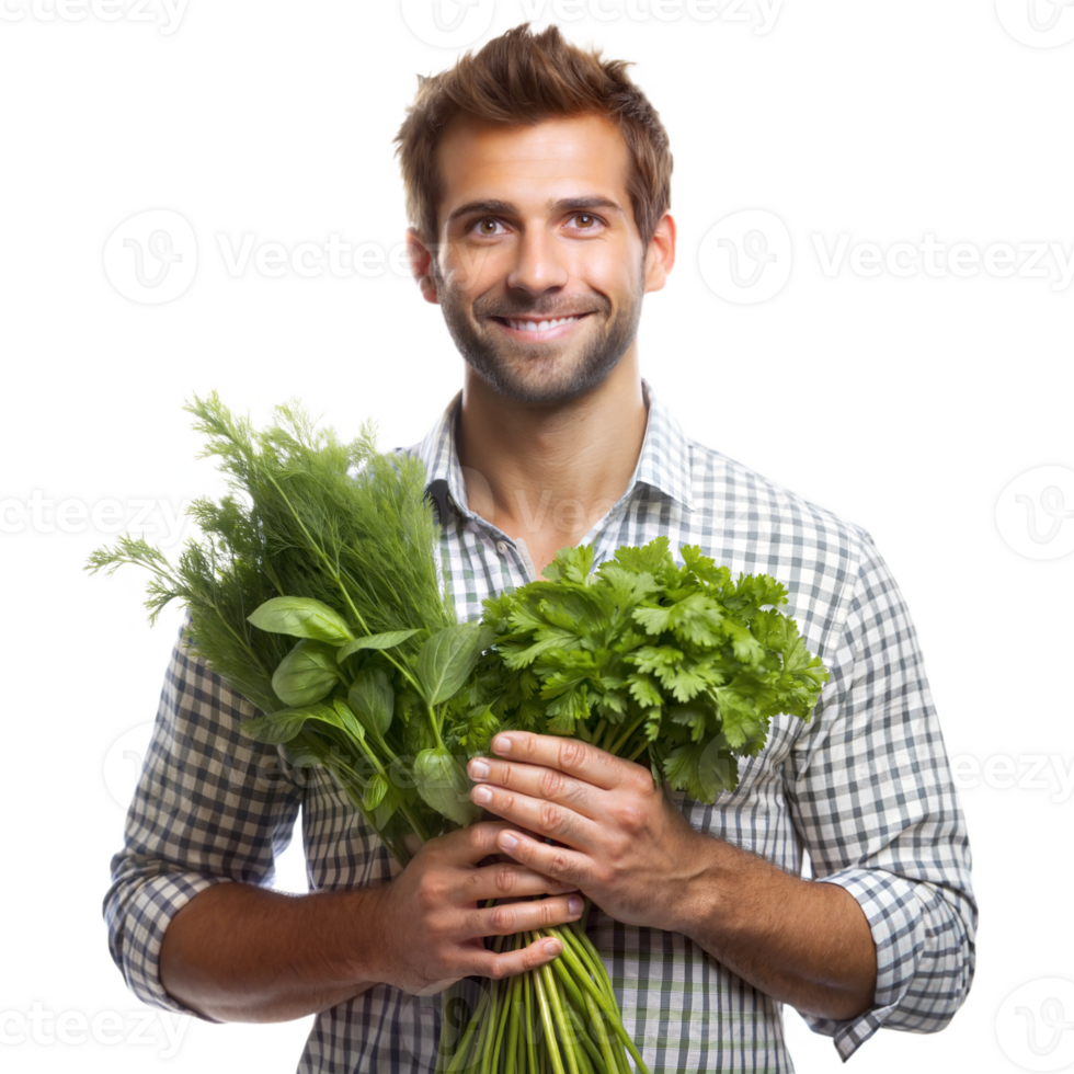 Man holding fresh green lettuce from a garden png