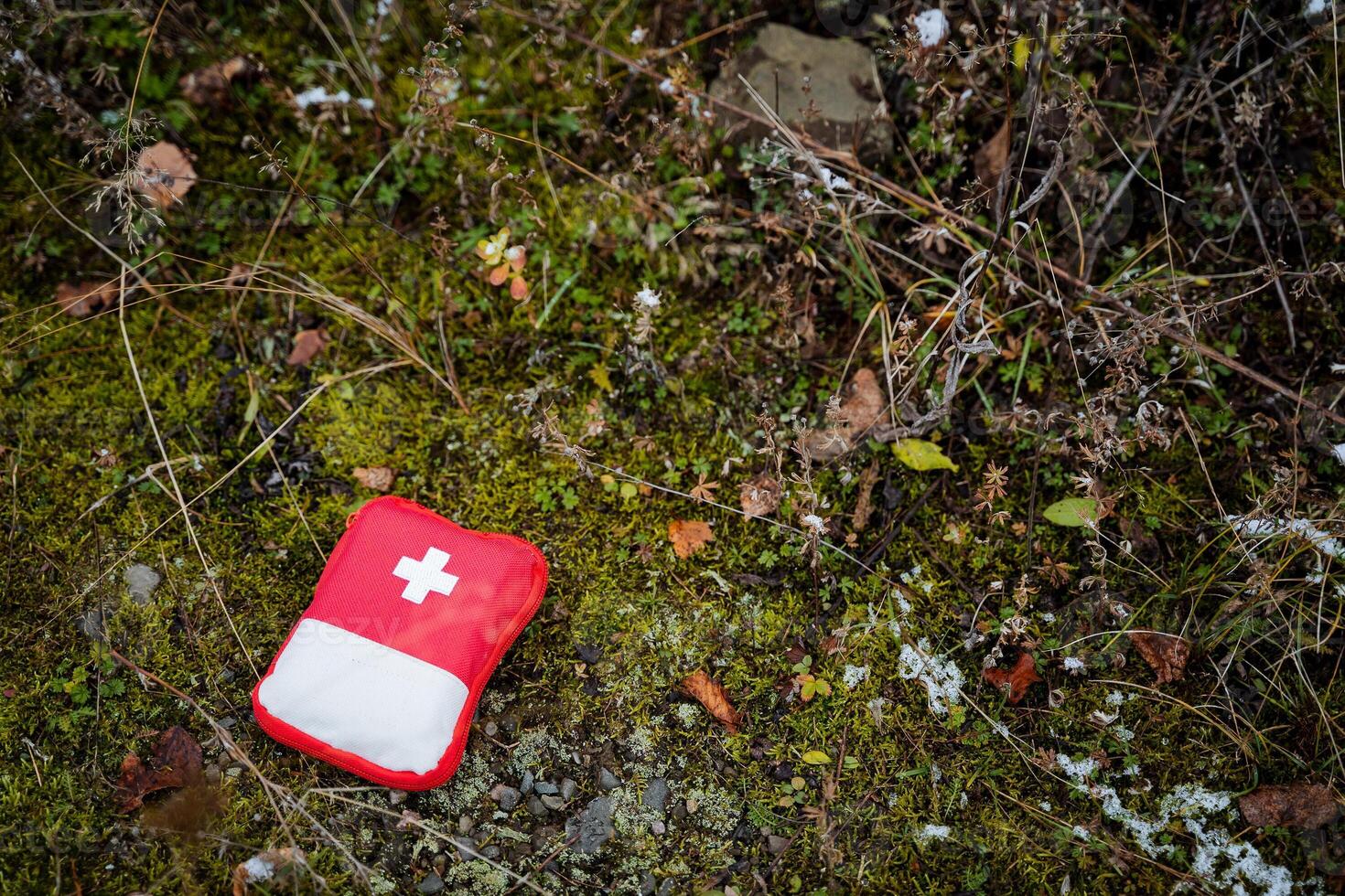 First Aid Kit in the Forest, Small Compact First Aid Kit with Medicines, Bag to the Cross, Emergency Aid on a Hike,. photo
