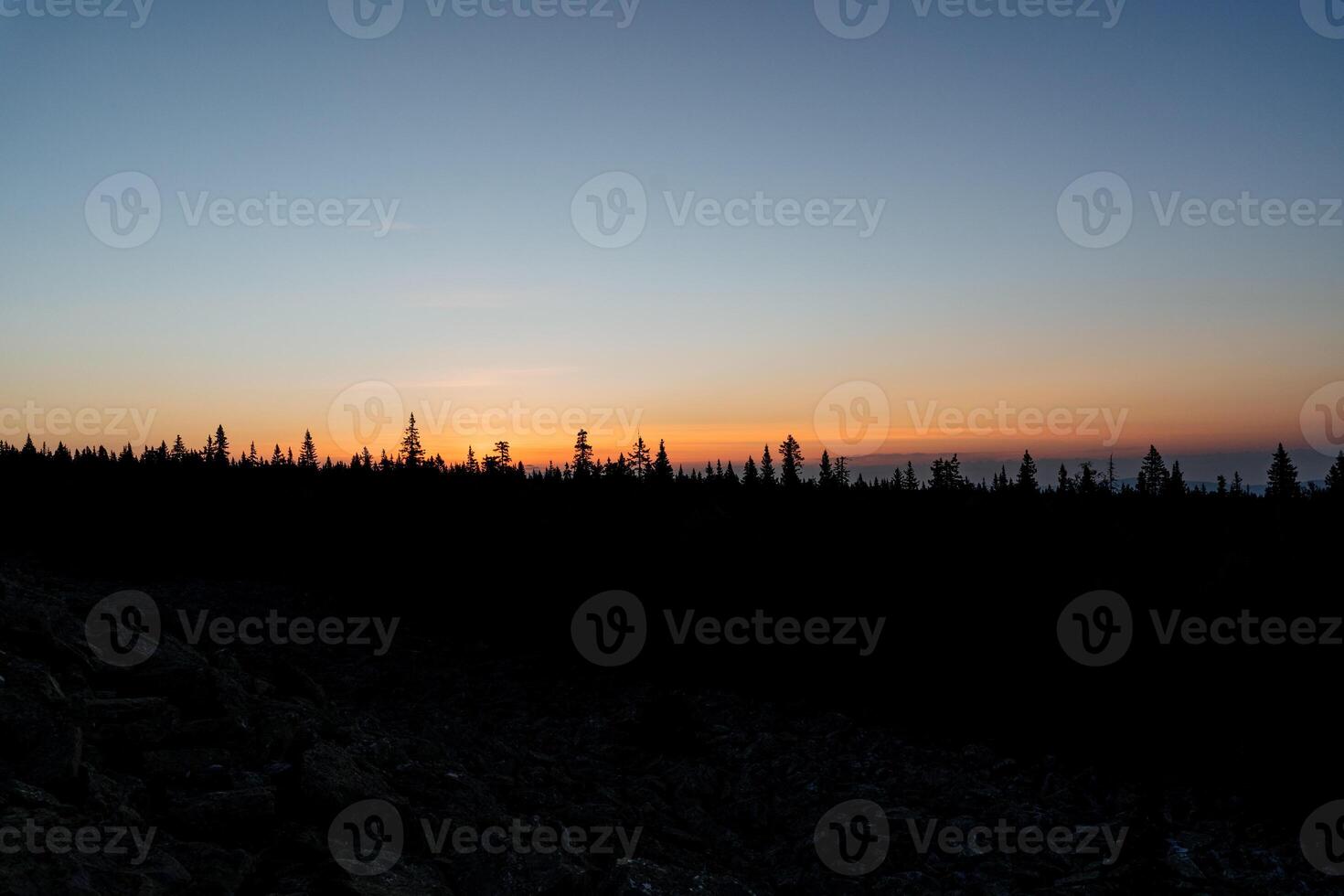 The silhouette of the forest against the background of the rising sun, the dark figures of trees at the dawn of the day, the morning in the mountains, the cold dawn, the blue sky. photo