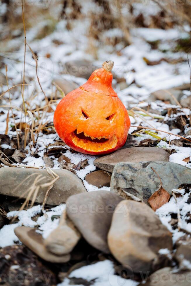 Holiday Halloween pumpkin with a grin lying on the ground, a small orange pumpkin, a treacherous expression in the eyes, a symbol of All Saints' Day. photo
