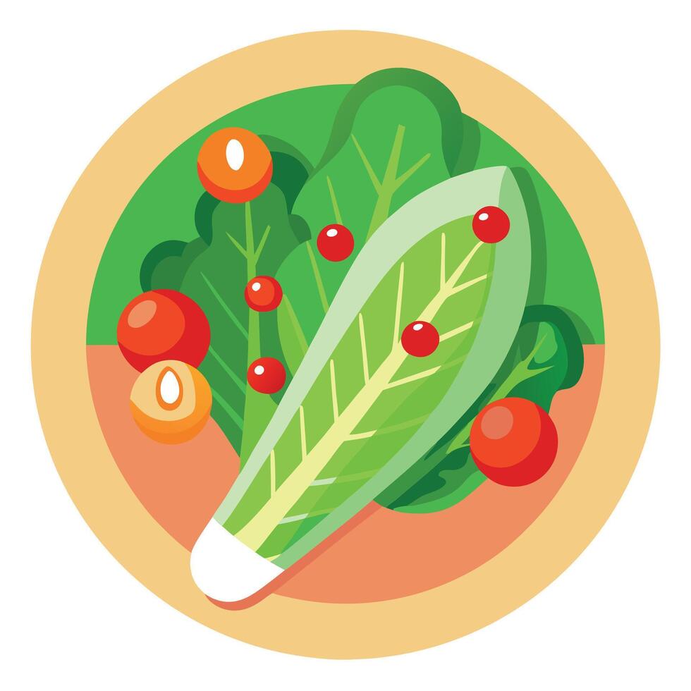 Grilled romaine salad. cherry tomatoes and bacon vector