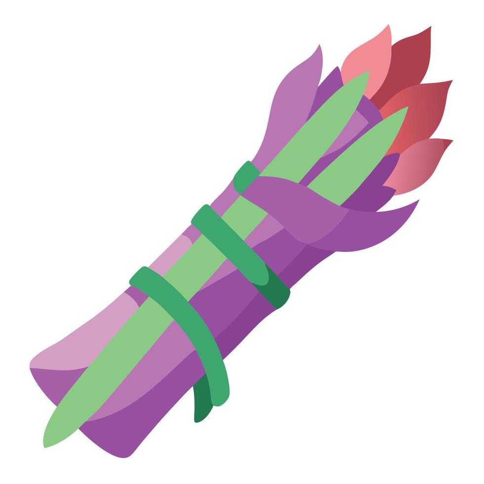 Barbecued violet asparagus wrapped with bacon vector