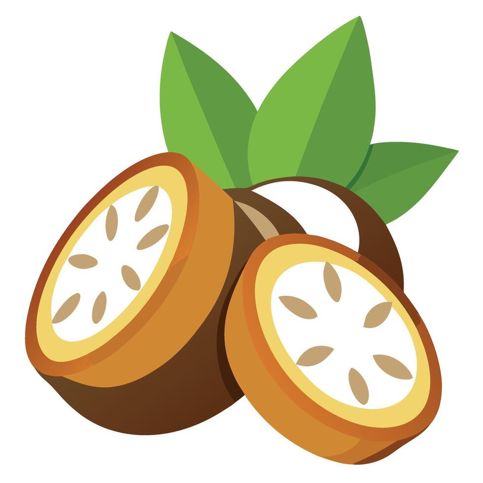 Called oyek gethuk lindri cassava slices vector