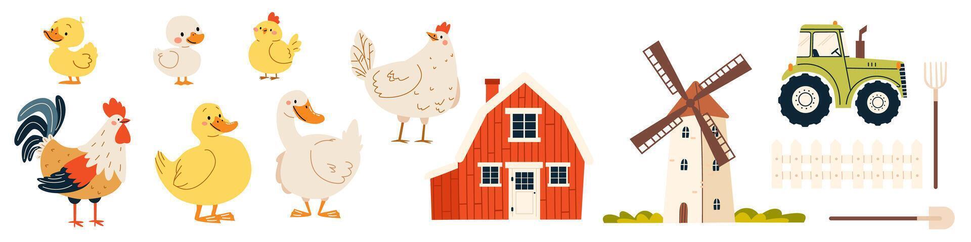 A set of flat illustrations in children's style. Farm buildings, mill tractor. Domestic birds, goose duck rooster hen chicken duckling chicken vector