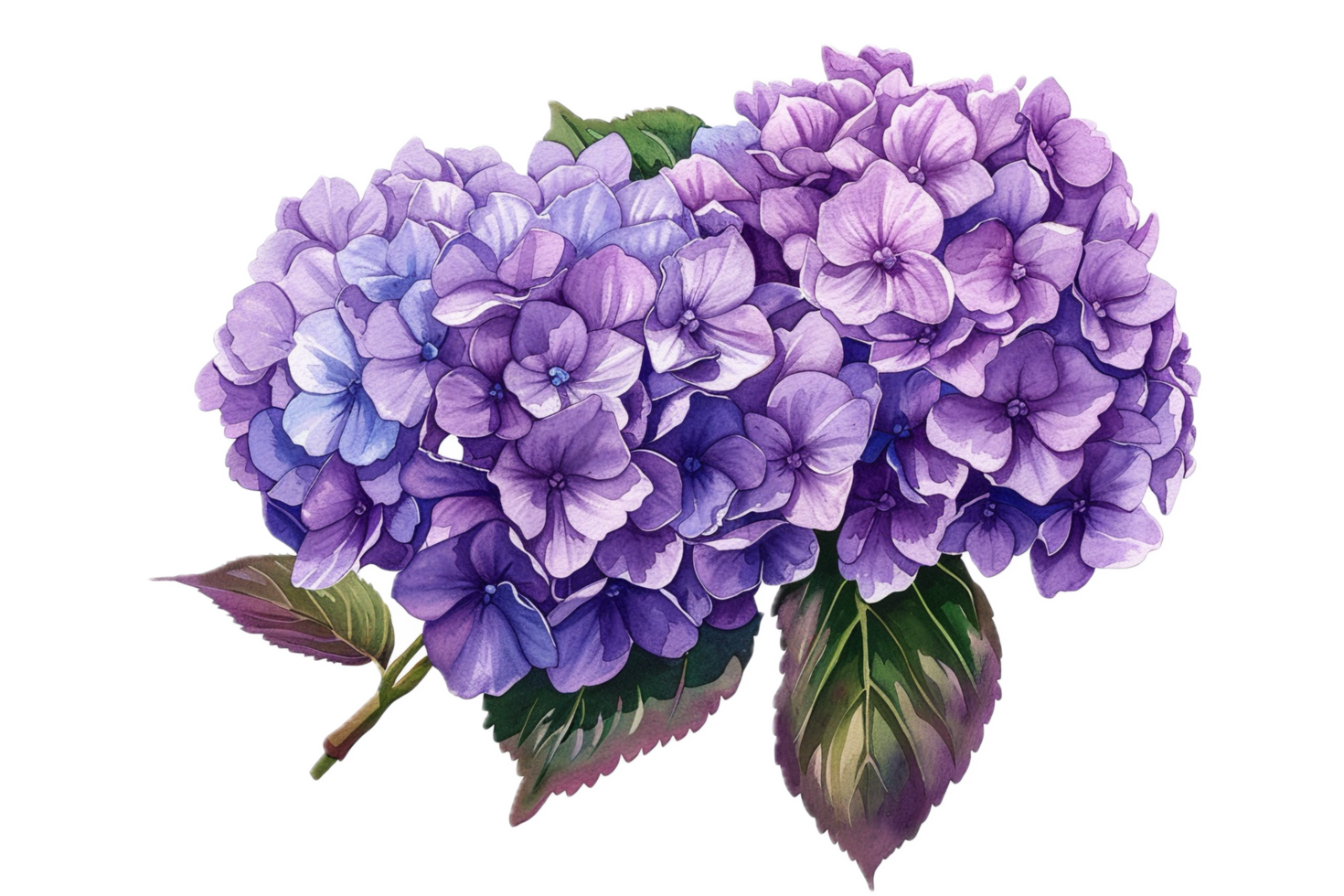 Vibrant Purple Flower with Layered Petals. png