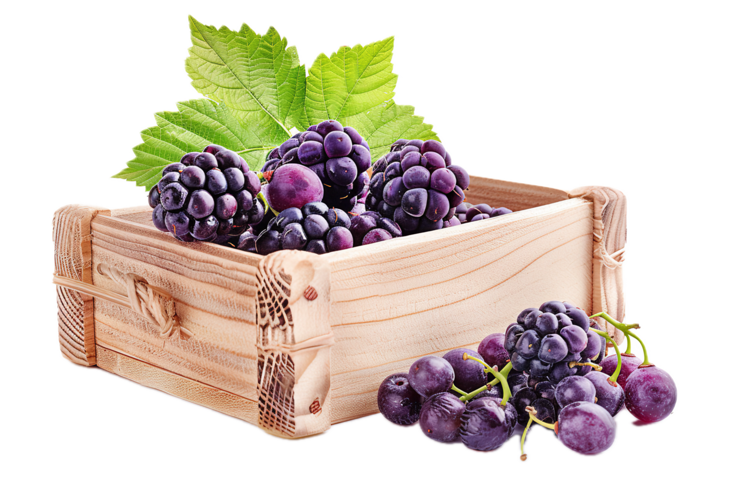 Harvested blackberries stored in rustic box. png