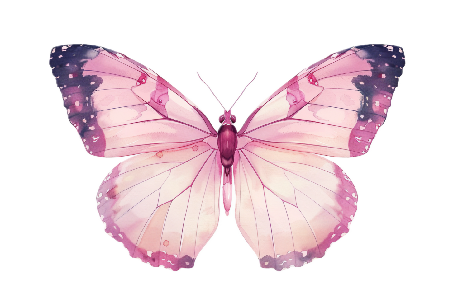 Close-up of pink butterfly in flight. png