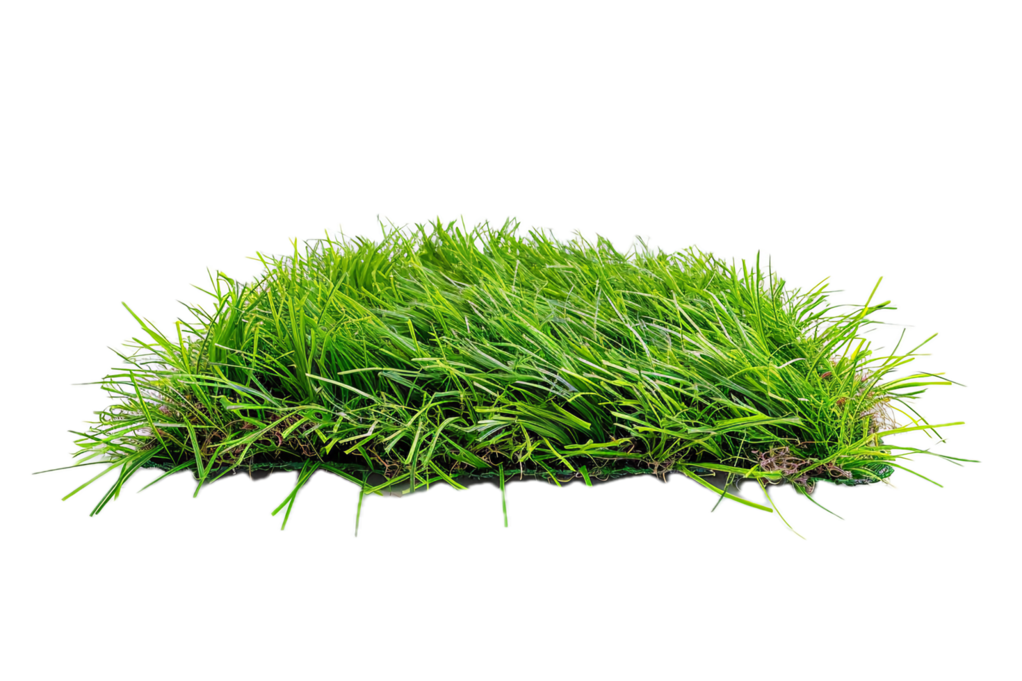Sample of green artificial grass for lawns. png