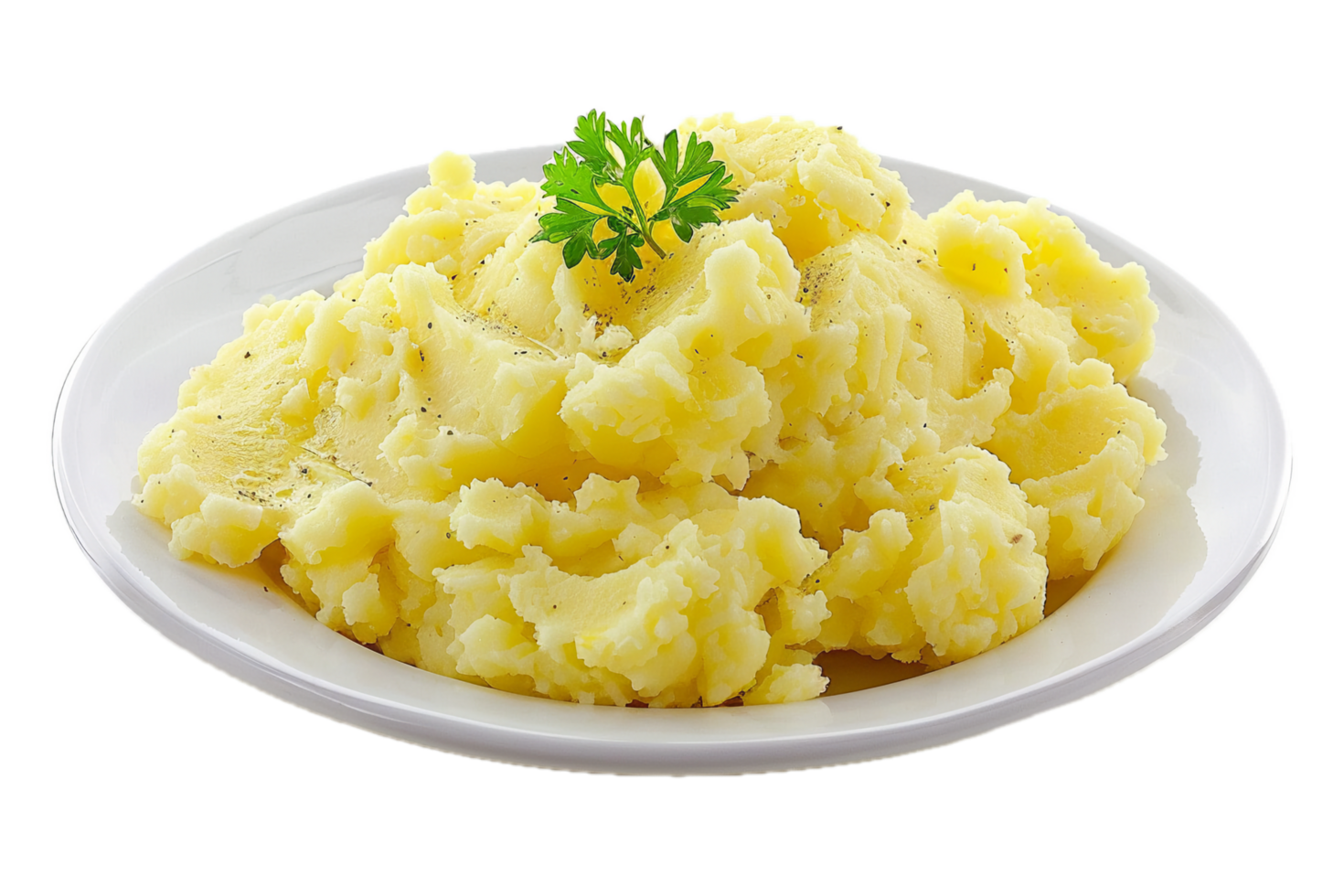 Creamy mashed potatoes with garnish on plate. png