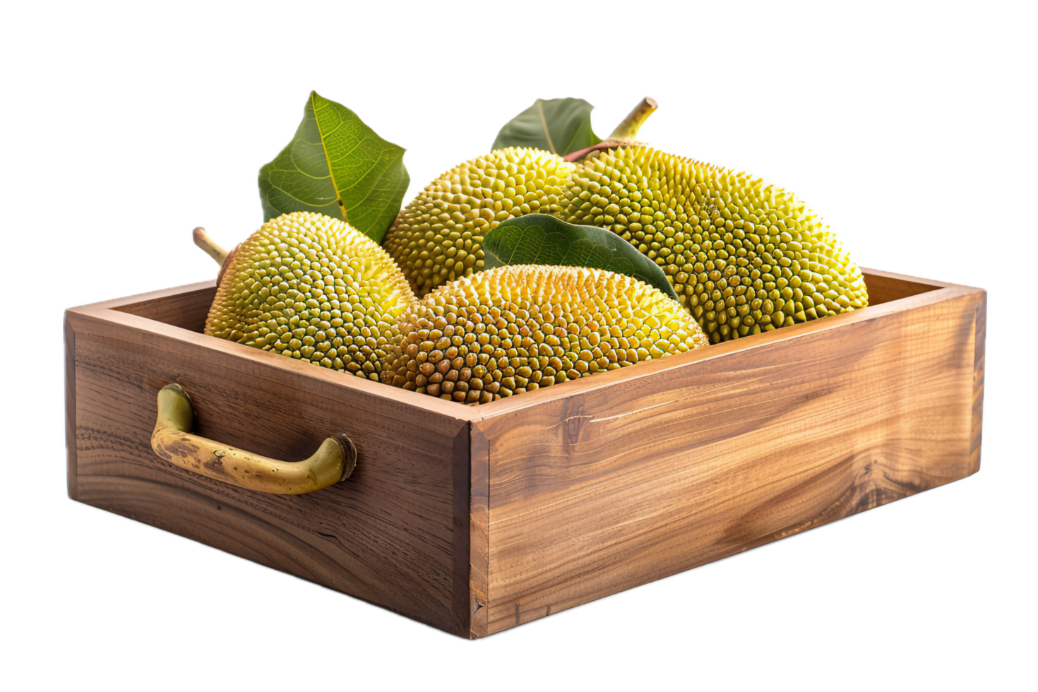 Tropical Jackfruit Displayed in Wooden Container. png