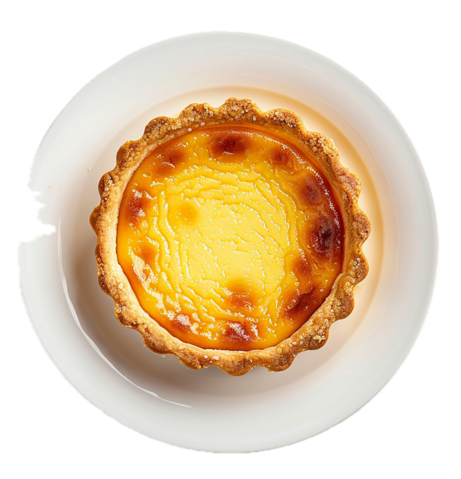 Delicious egg custard tart with flaky crust. png