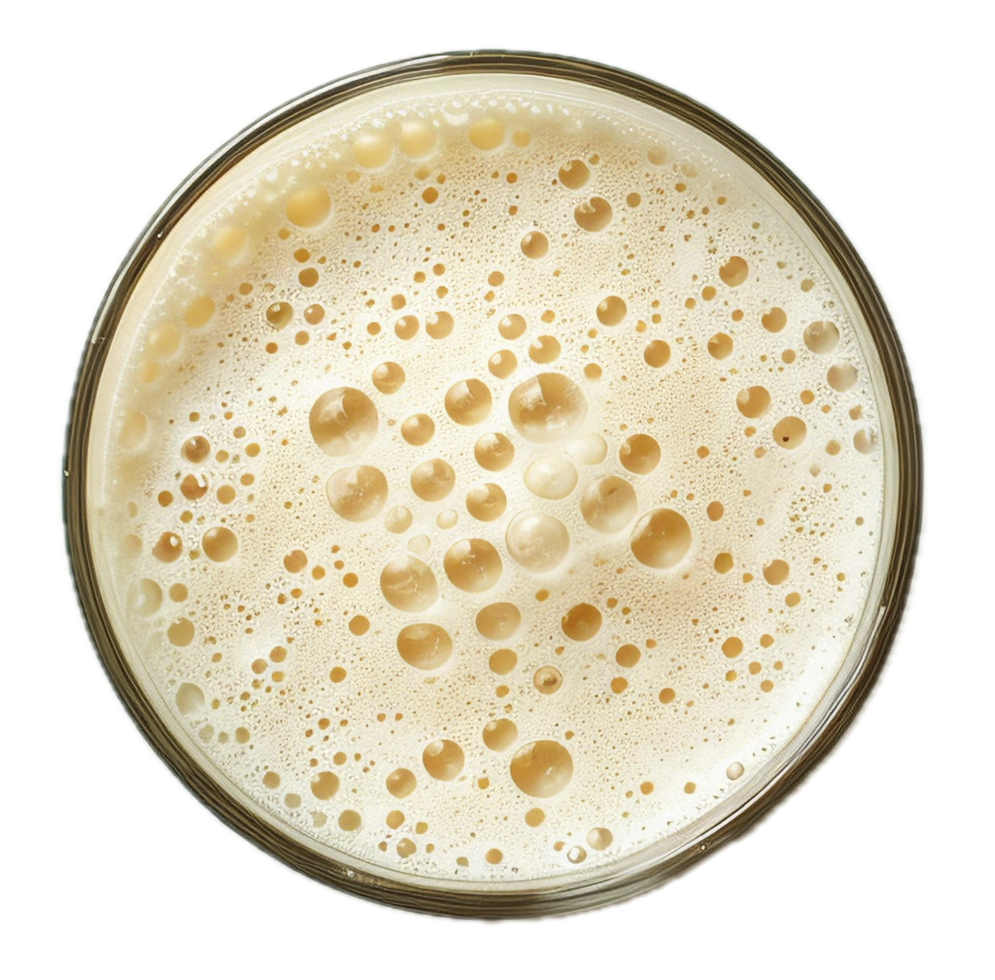 Frothy beer with creamy foam and bubbles. png