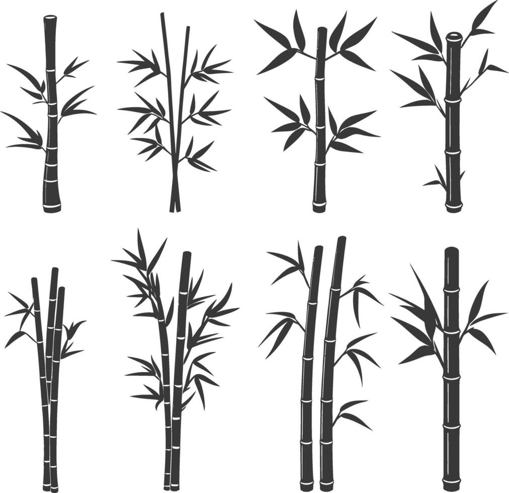 Set of Eight Black and White Bamboo Silhouettes vector