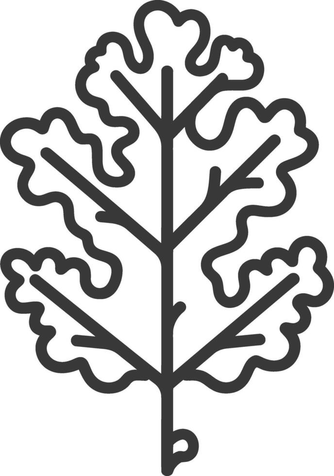 Black and White Line Drawing of an Oak Leaf vector