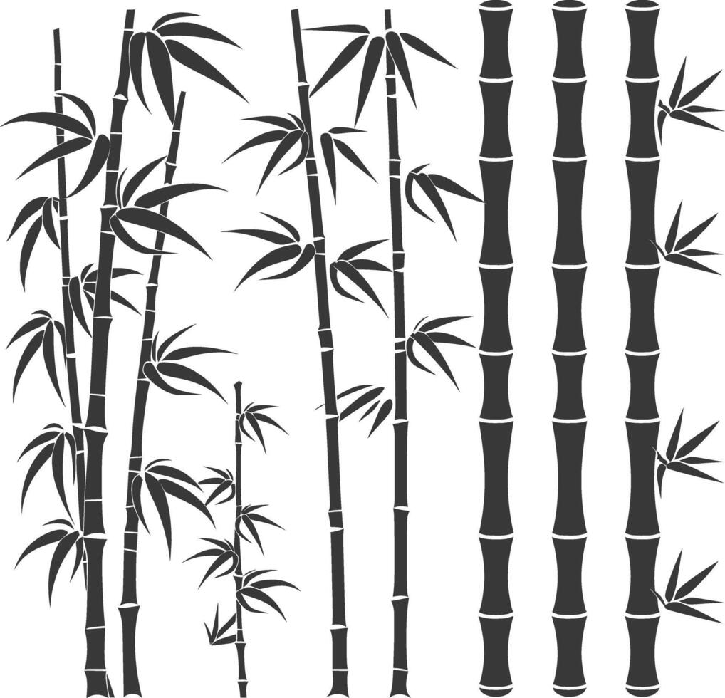 Black and White Silhouettes of Bamboo Plants vector