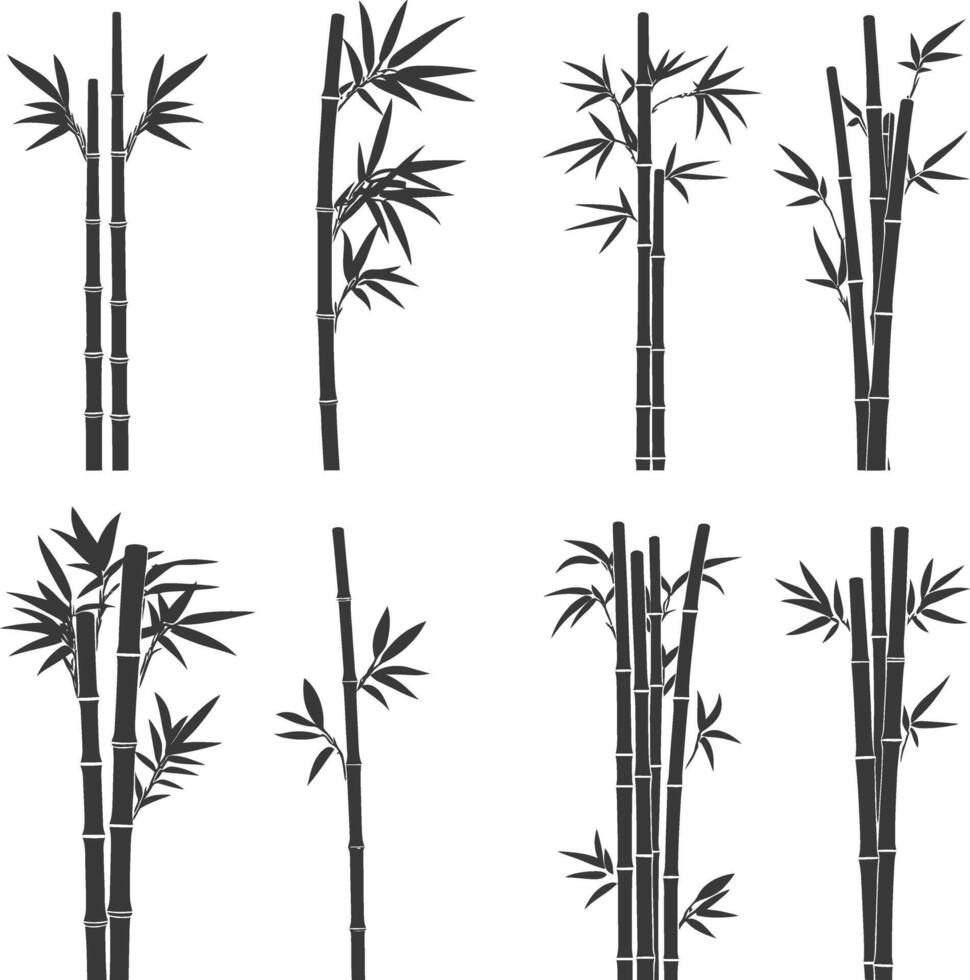 A Collection of Black and White Silhouettes of Bamboo Plants vector