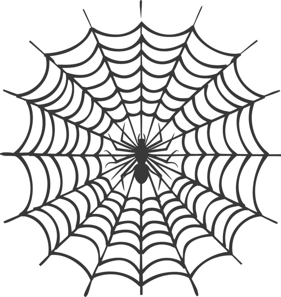 Spider in the Center of a Web vector