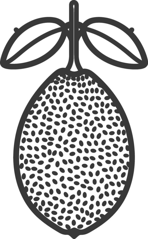 Black and white line drawing of a lemon with leaves vector