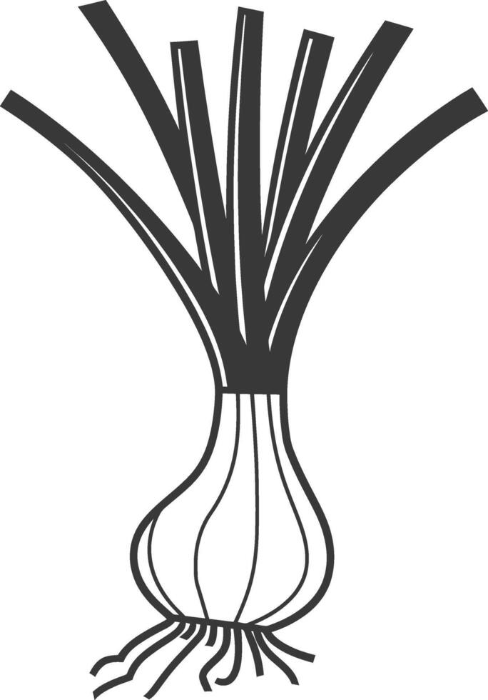 Black and White Line Drawing of an Onion Plant vector