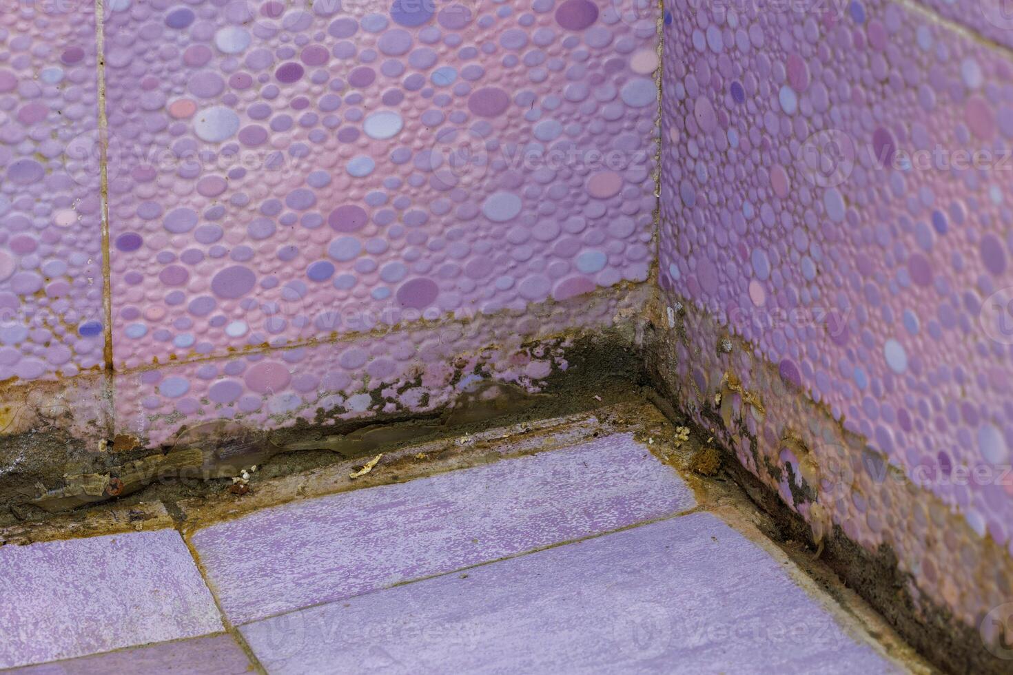 filthy dirty bathroom shower floor corner photo