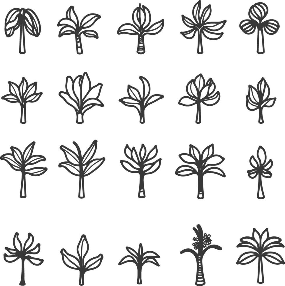 Palm trees in a line drawing style vector