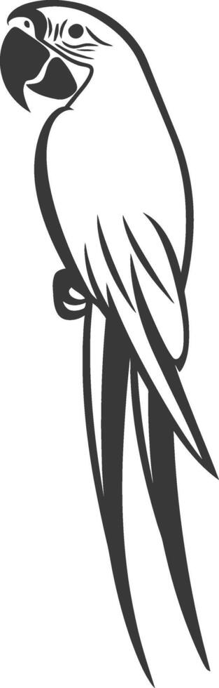 A parrot is standing on its hind legs and has a large beak vector