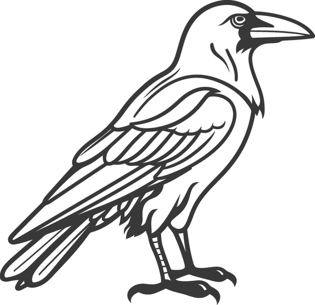 A black and white drawing of a raven vector