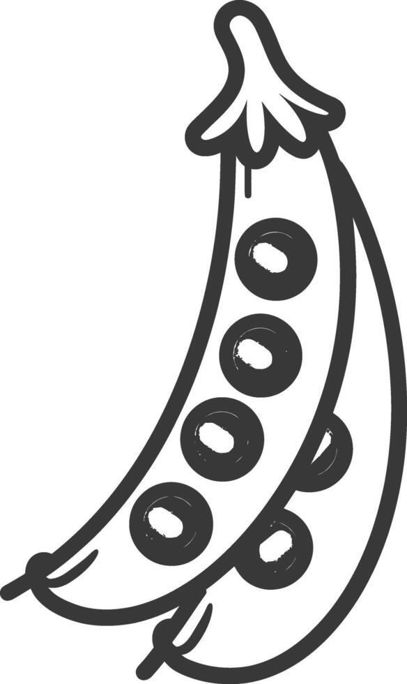 A black and white drawing of a pea pod vector