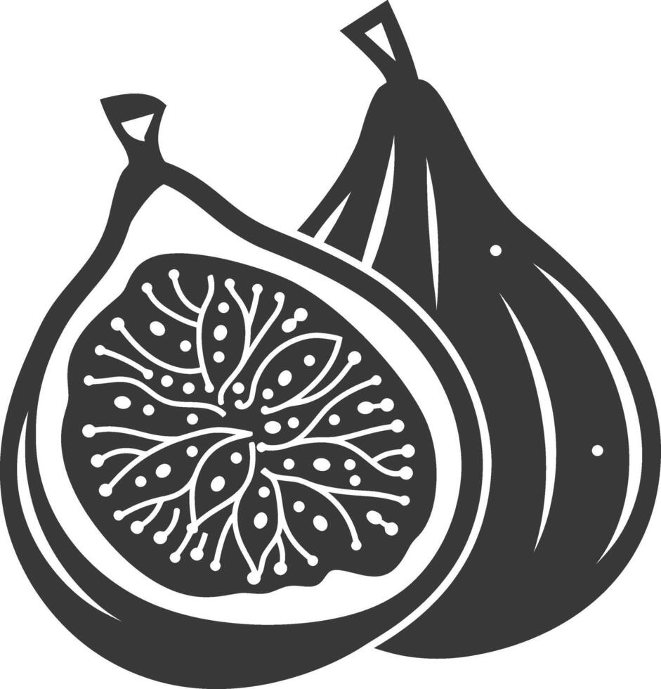 A black and white illustration of a fig vector