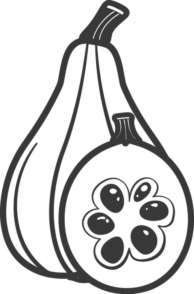 A black and white drawing of a pumpkin and a squash vector