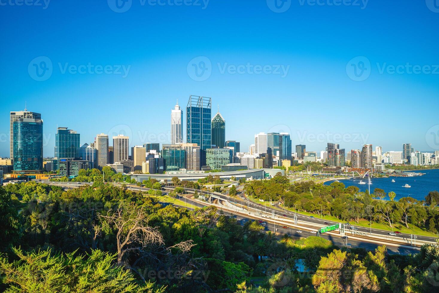 Perth CBD skyline, view over Kings Park and Botanic Garden in western Australia photo