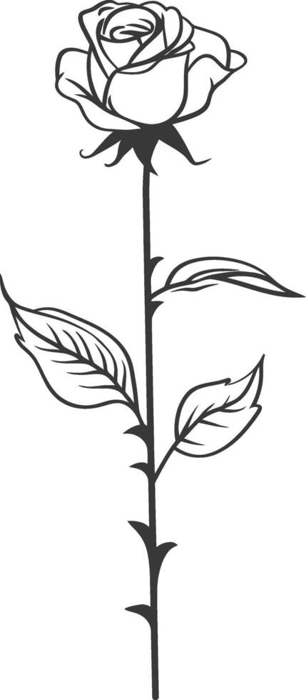 A black and white drawing of a rose vector