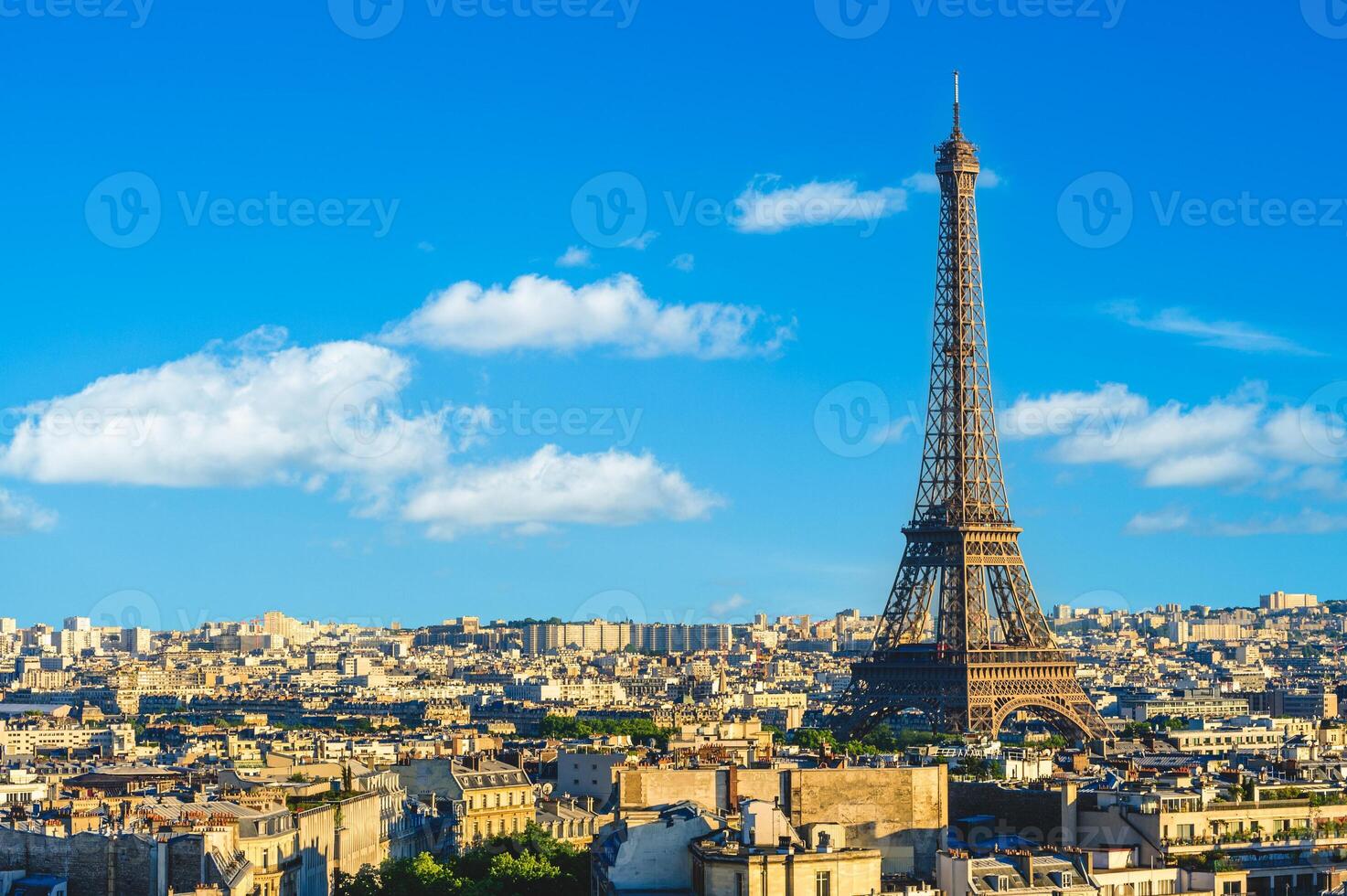 Eiffel tower, a wrought iron lattice tower on the Champ de Mars in Paris, France photo
