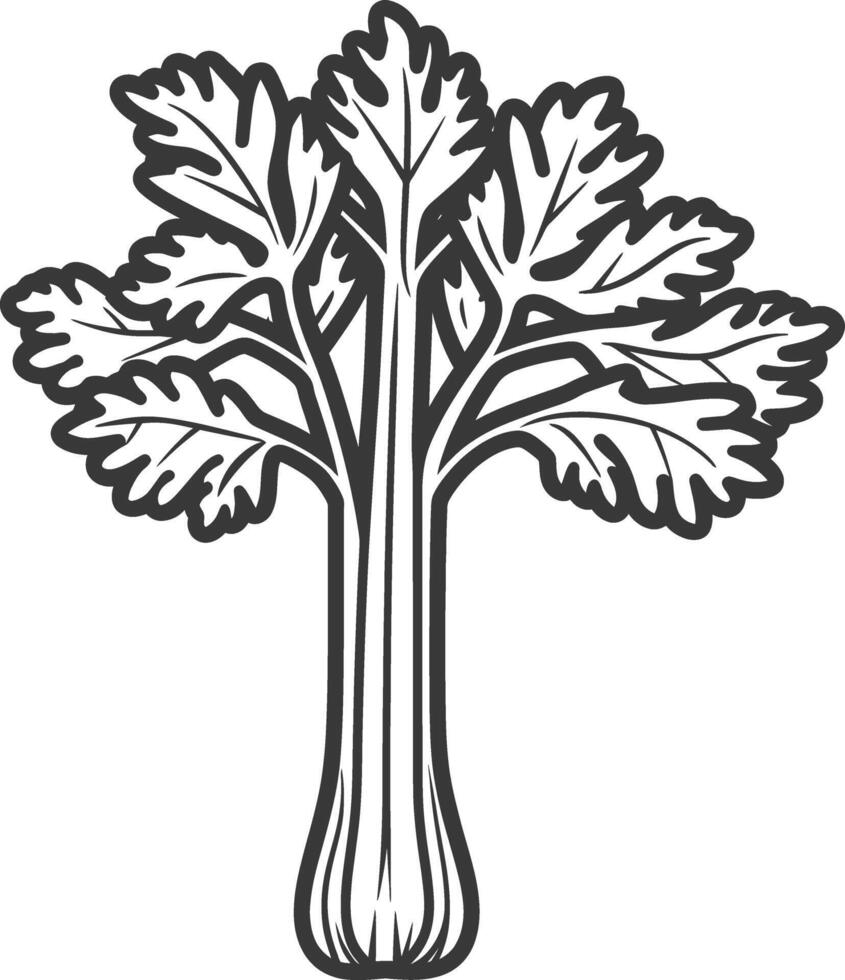 A black and white drawing of a celery plant vector