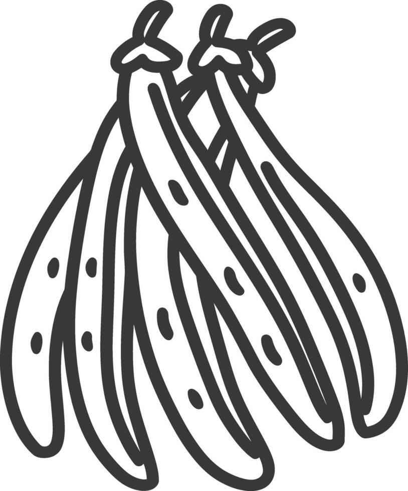 A drawing of a bunch of beans vector
