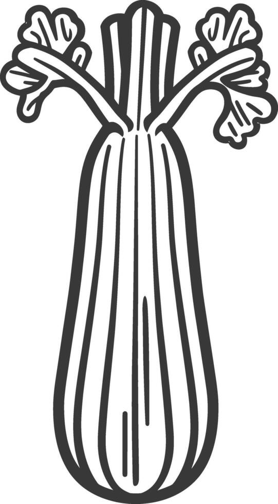 A black and white drawing of a squash vector