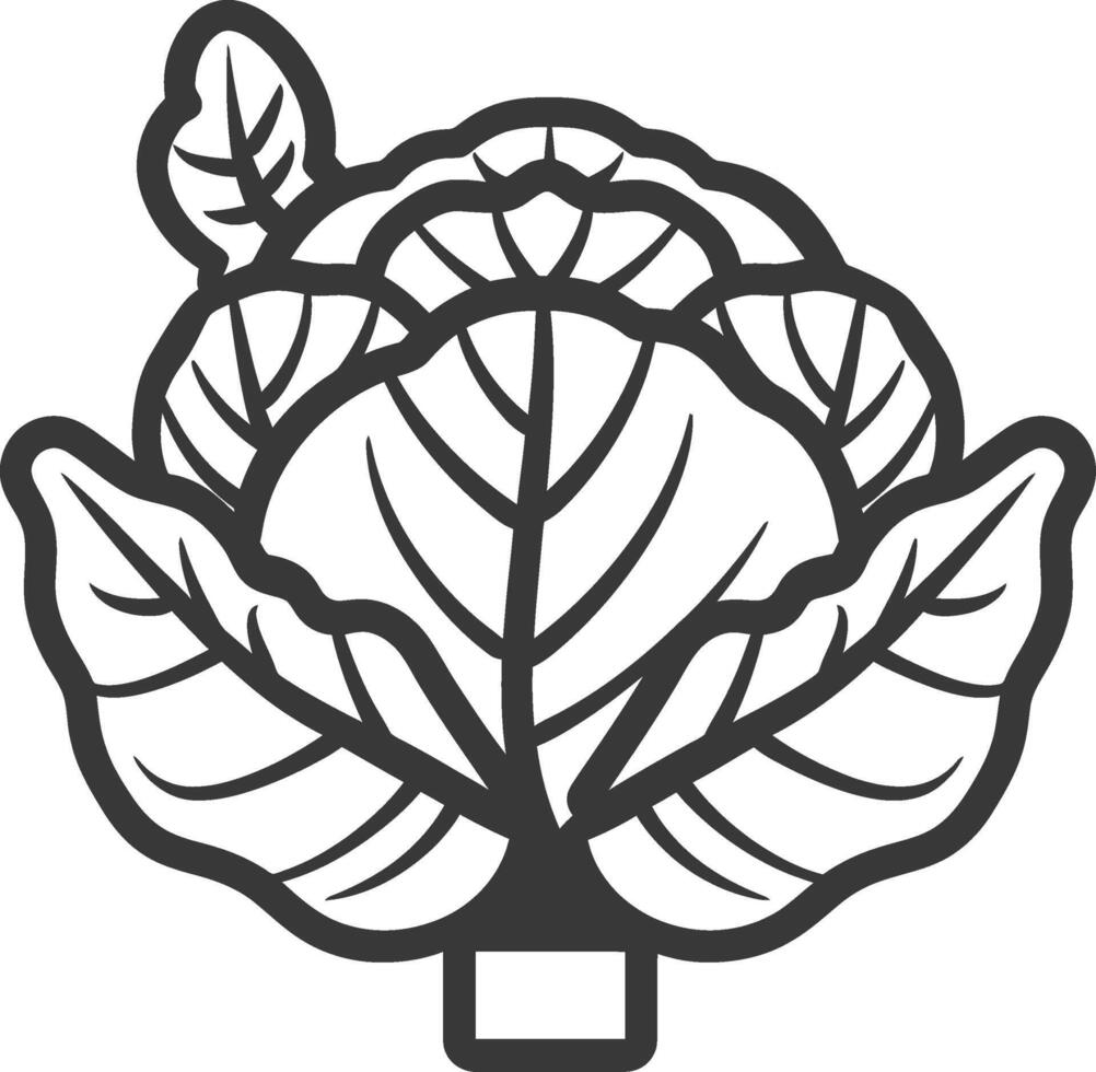 Cabbage icon illustration vector