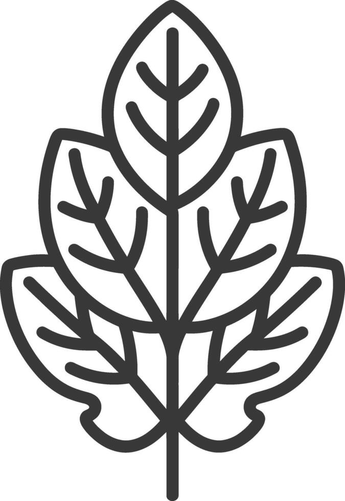 A black and white illustration of a leaf vector