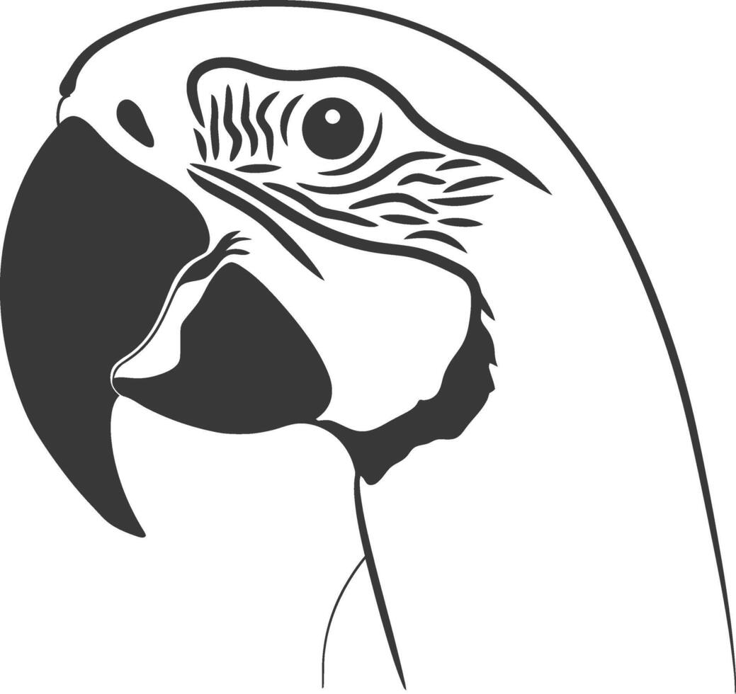 A parrot head is shown in a black and white drawing vector