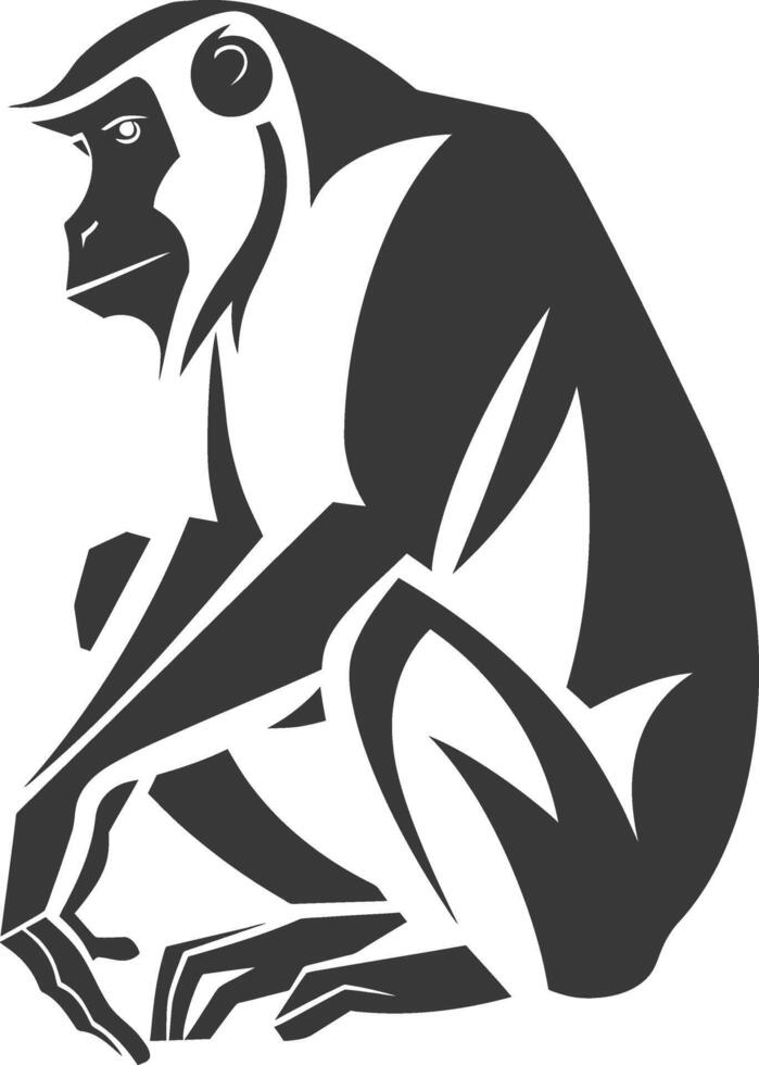 A black and white monkey sitting on its hind legs vector