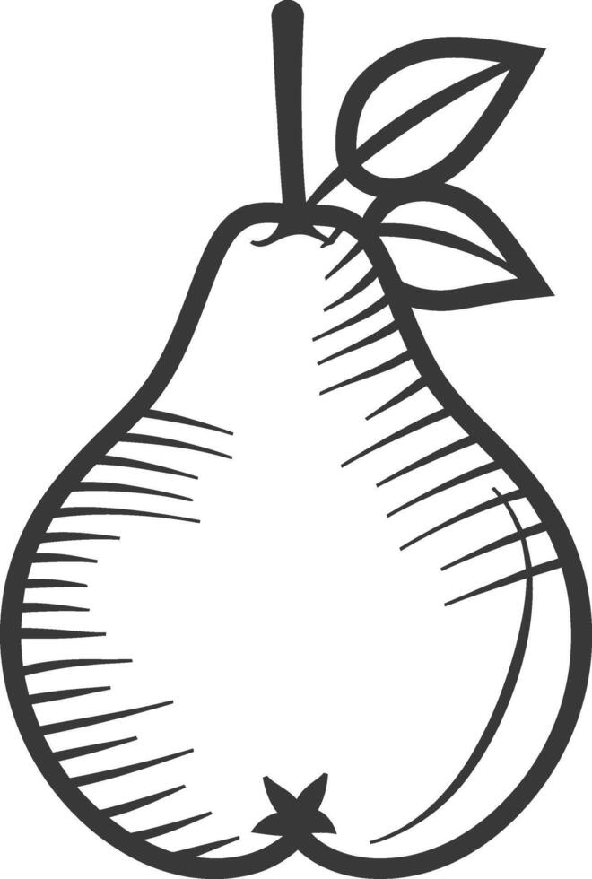 A pear is shown in a black and white drawing vector