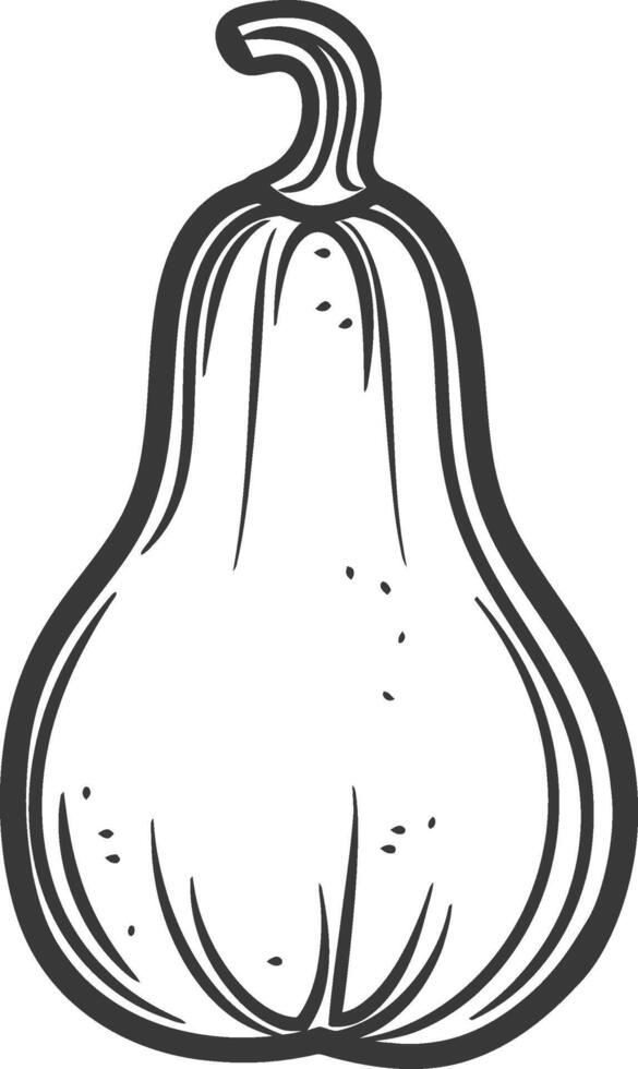 A black and white drawing of a pumpkin vector