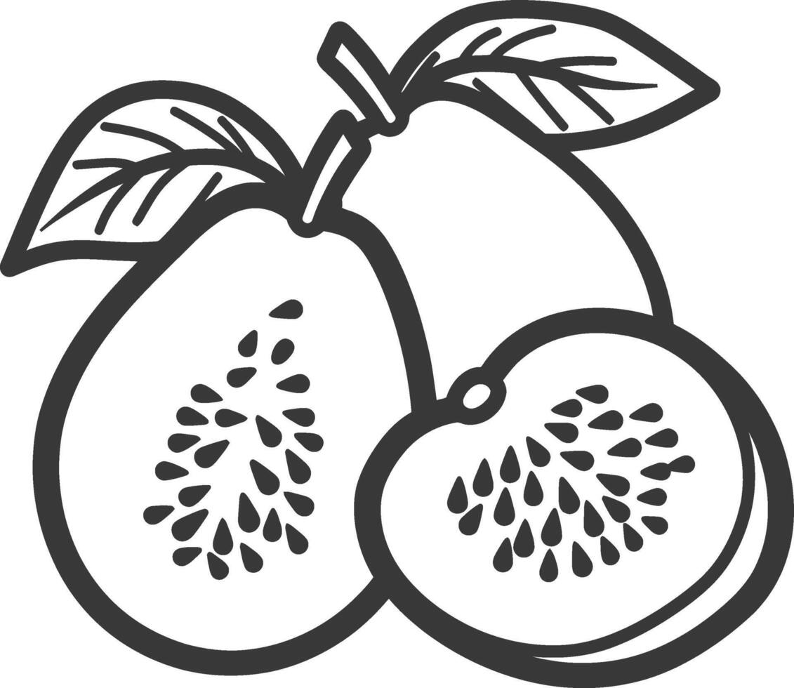 A black and white drawing of two fruits vector