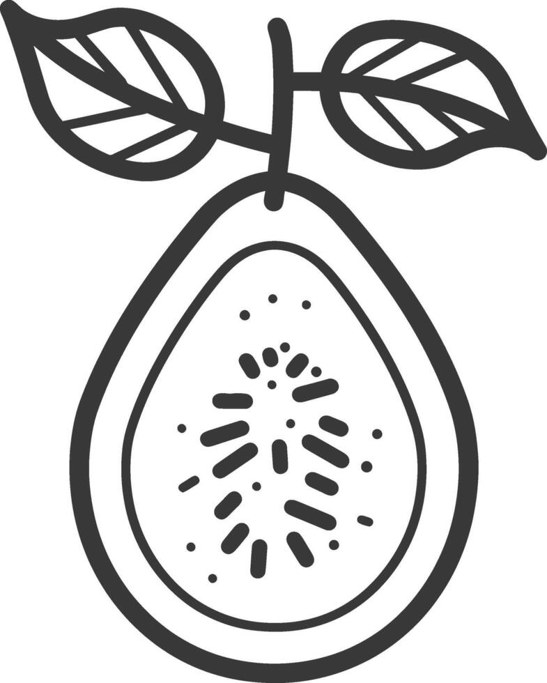 A black and white illustration of a half of a guava vector