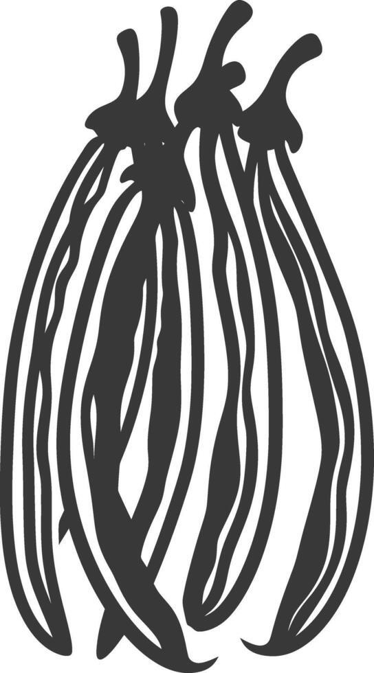A black and white illustration of a bean pod vector