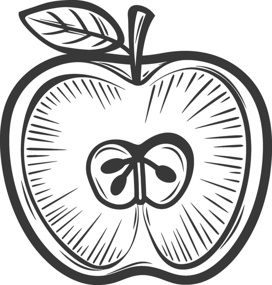 A black and white drawing of an apple vector