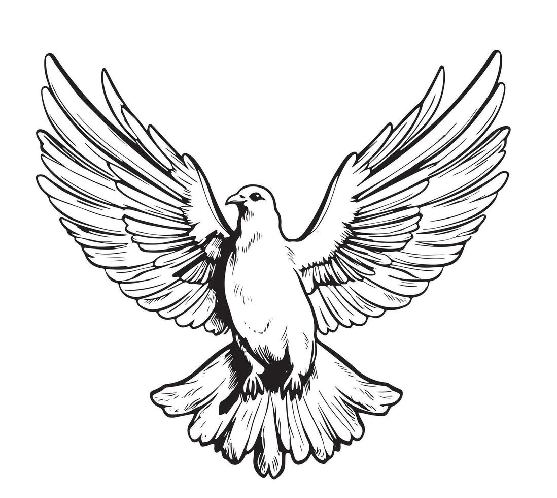 Hand drawing dove sketch Symbol of peace vector