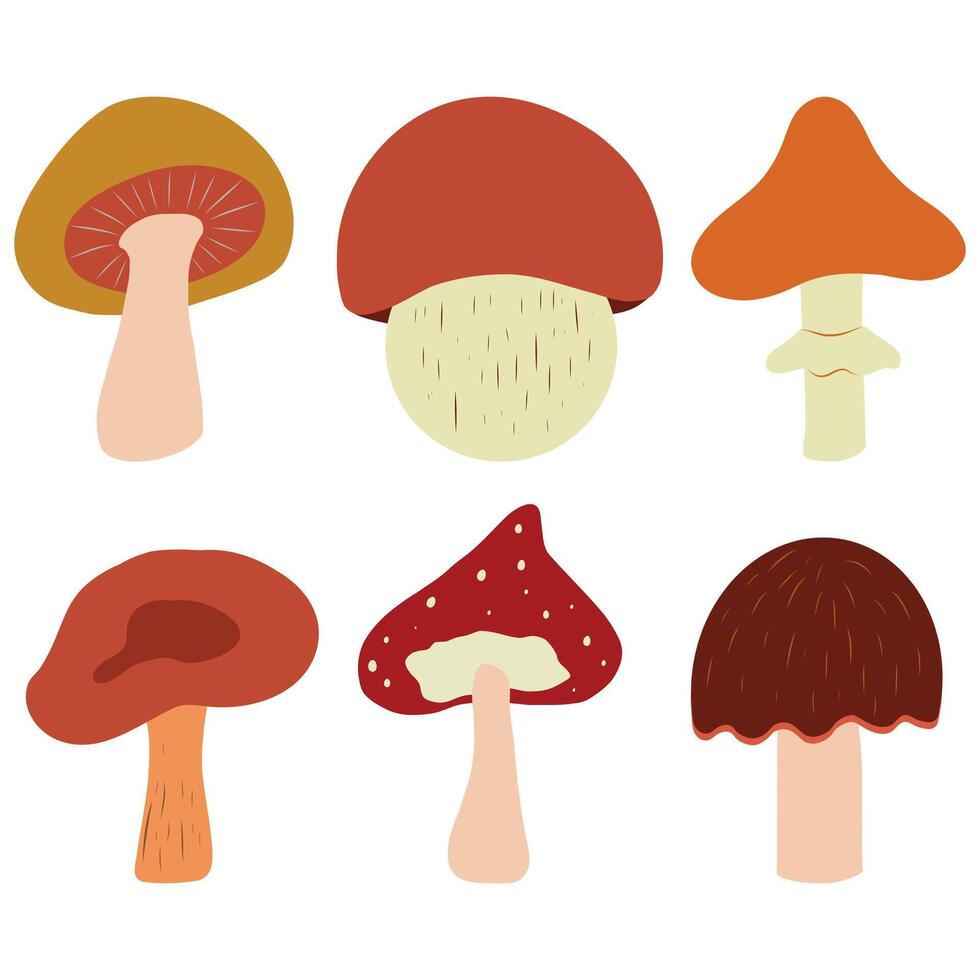 Set of mushrooms isolaed on white background, Mushroom Clip art, Simple Cartoon style vector