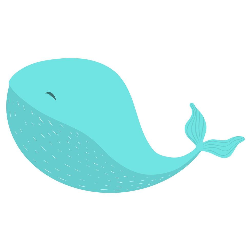 Turquoise whale illustration isolated on white background vector