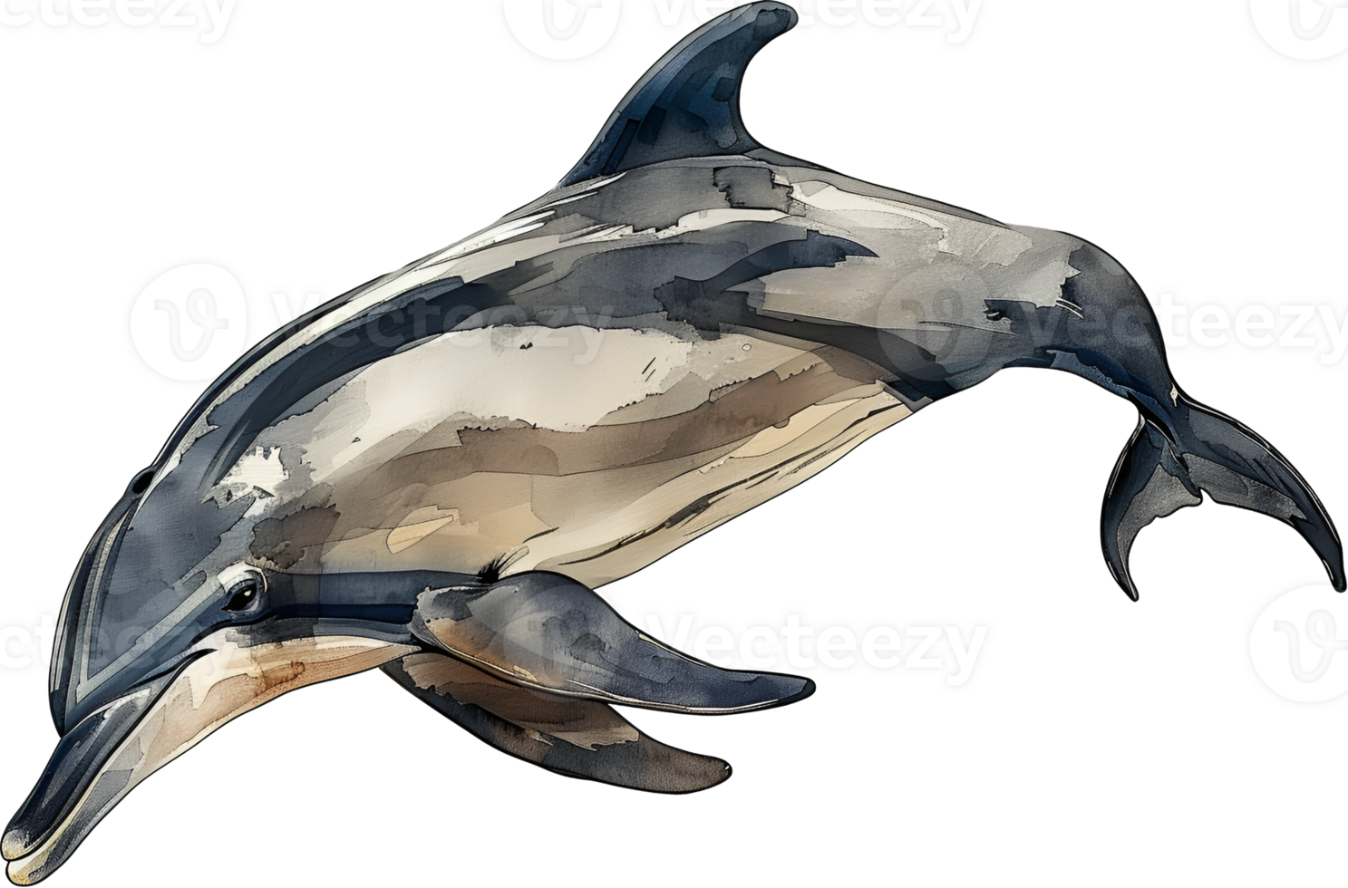 A dolphin is swimming in the ocean watercolor illustration png
